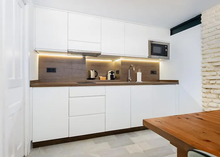 Designer Duplex - Former Architecture Apartment Seville